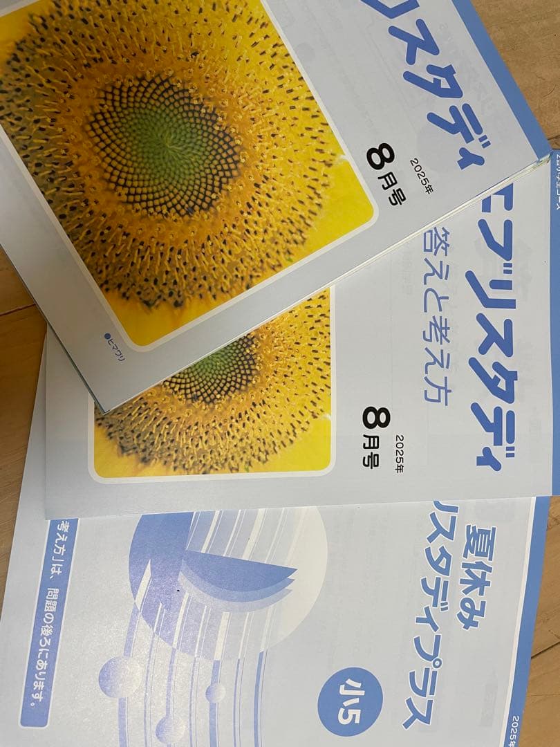 2025年度　5年生z会エブリスタディ