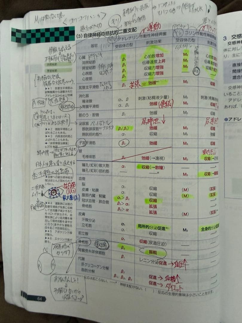 第111回国家試験対策 薬剤師国家試験対策参考書 (改定第15版) 全科目