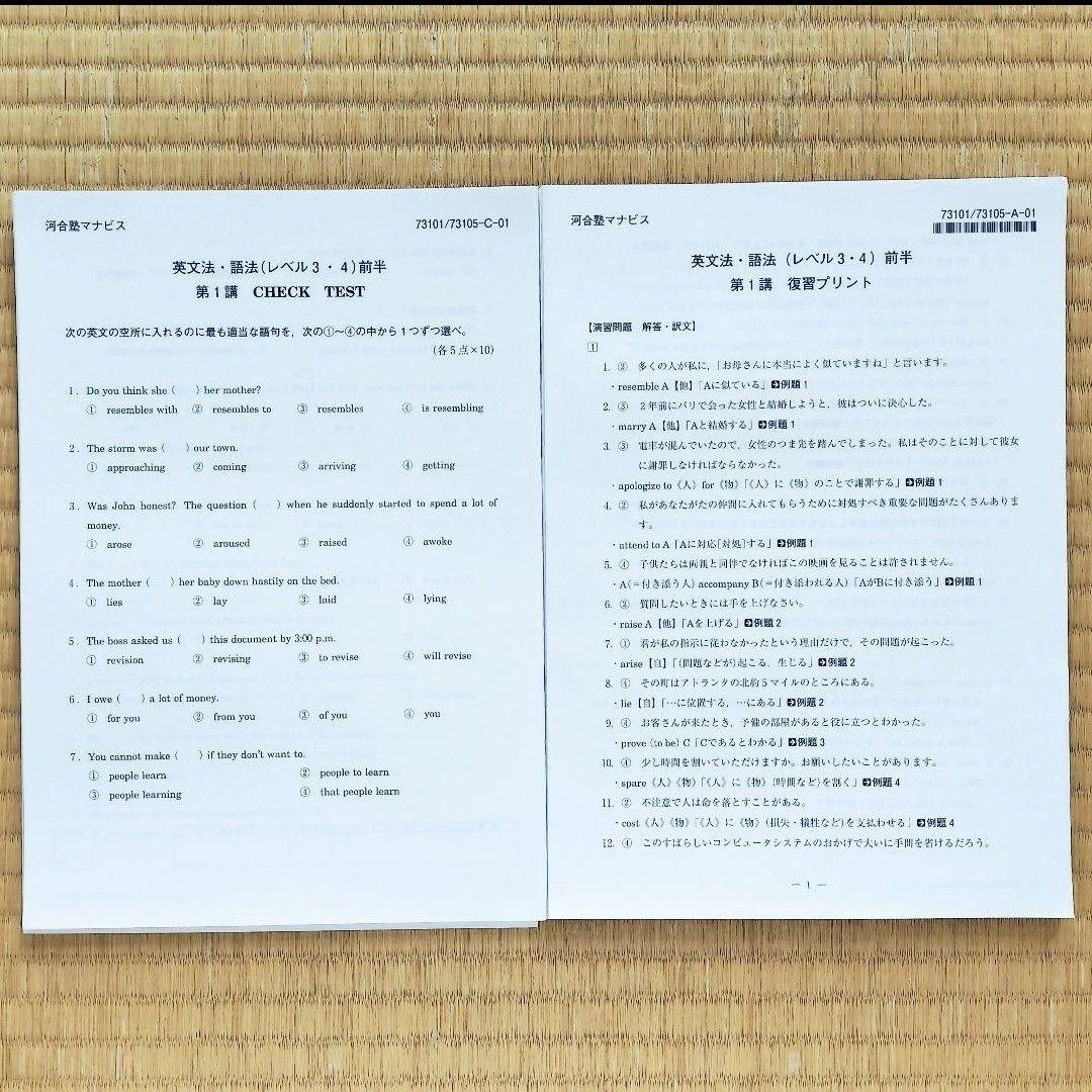 河合塾マナビステキストとプリントのまとめ　英語・現代文・生物　説明・問題収録