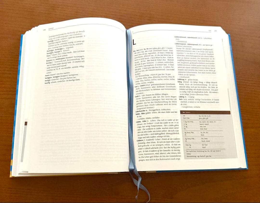 スイスドイツ語・チューリッヒ 方言辞典 /リボン付き/ハードカバー