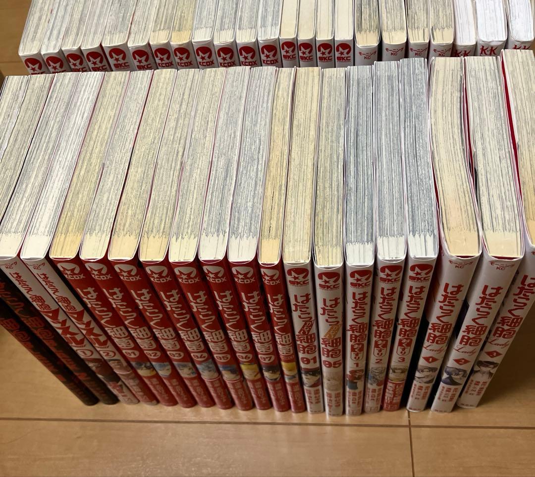 はたらく細胞　Baby 小説　マッスル　　43冊セット