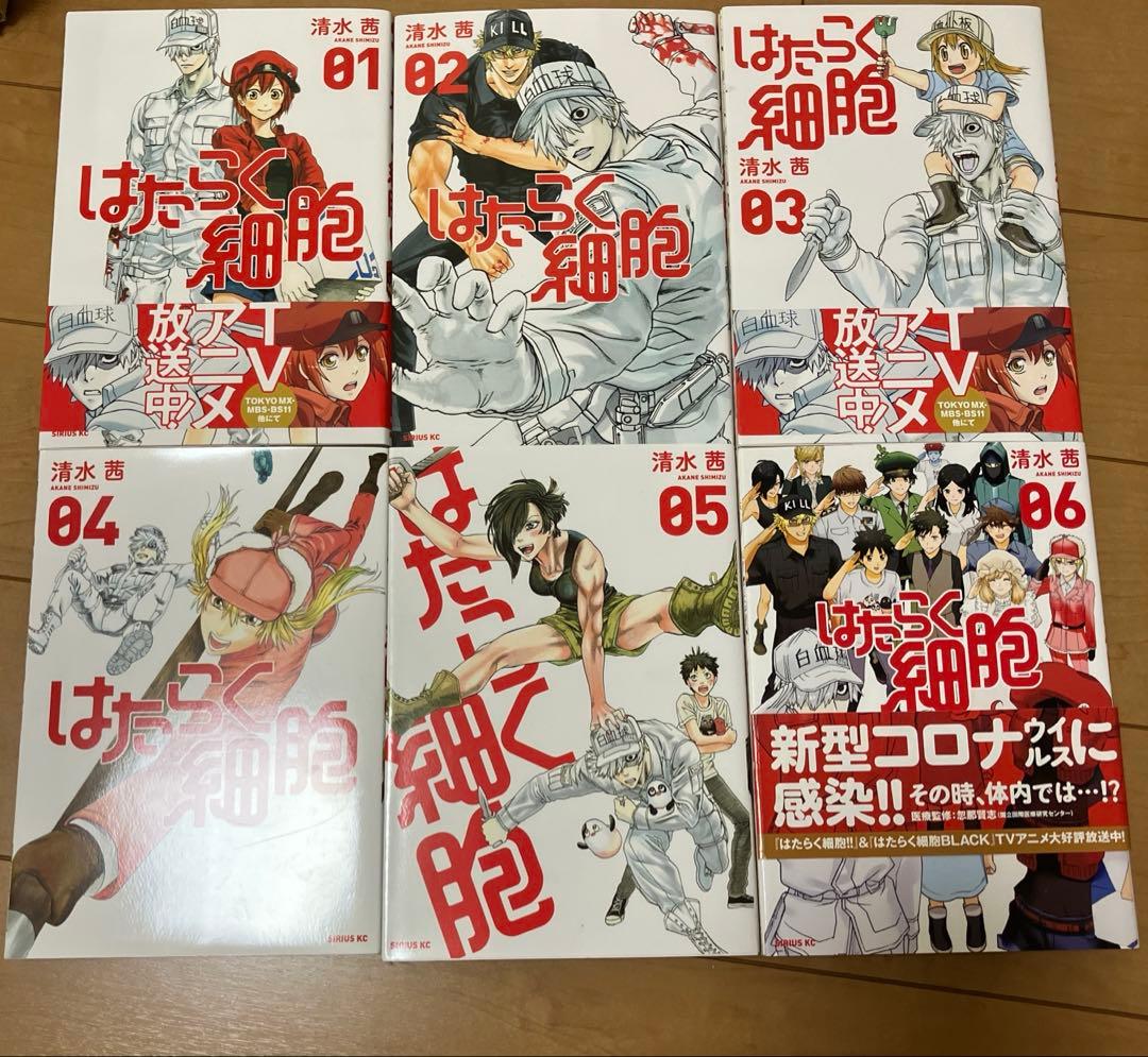 はたらく細胞　Baby 小説　マッスル　　43冊セット