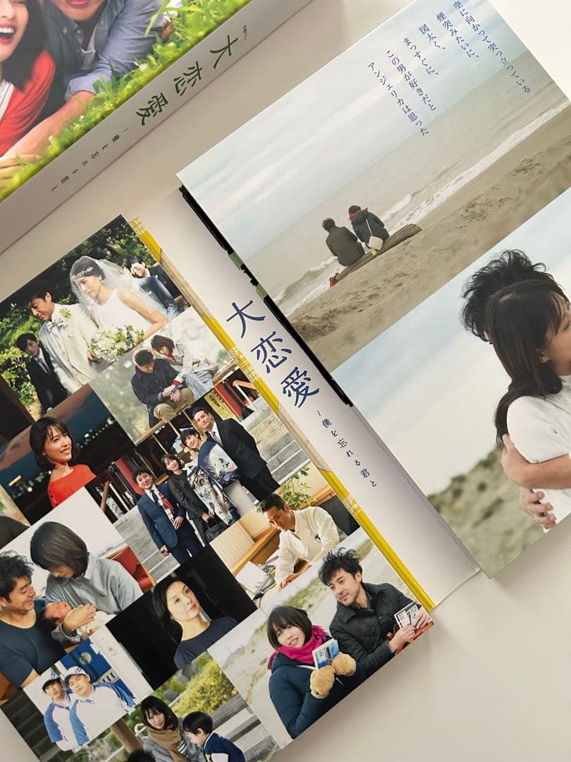 【テレビドラマ 大恋愛~僕を忘れる君と】DVD