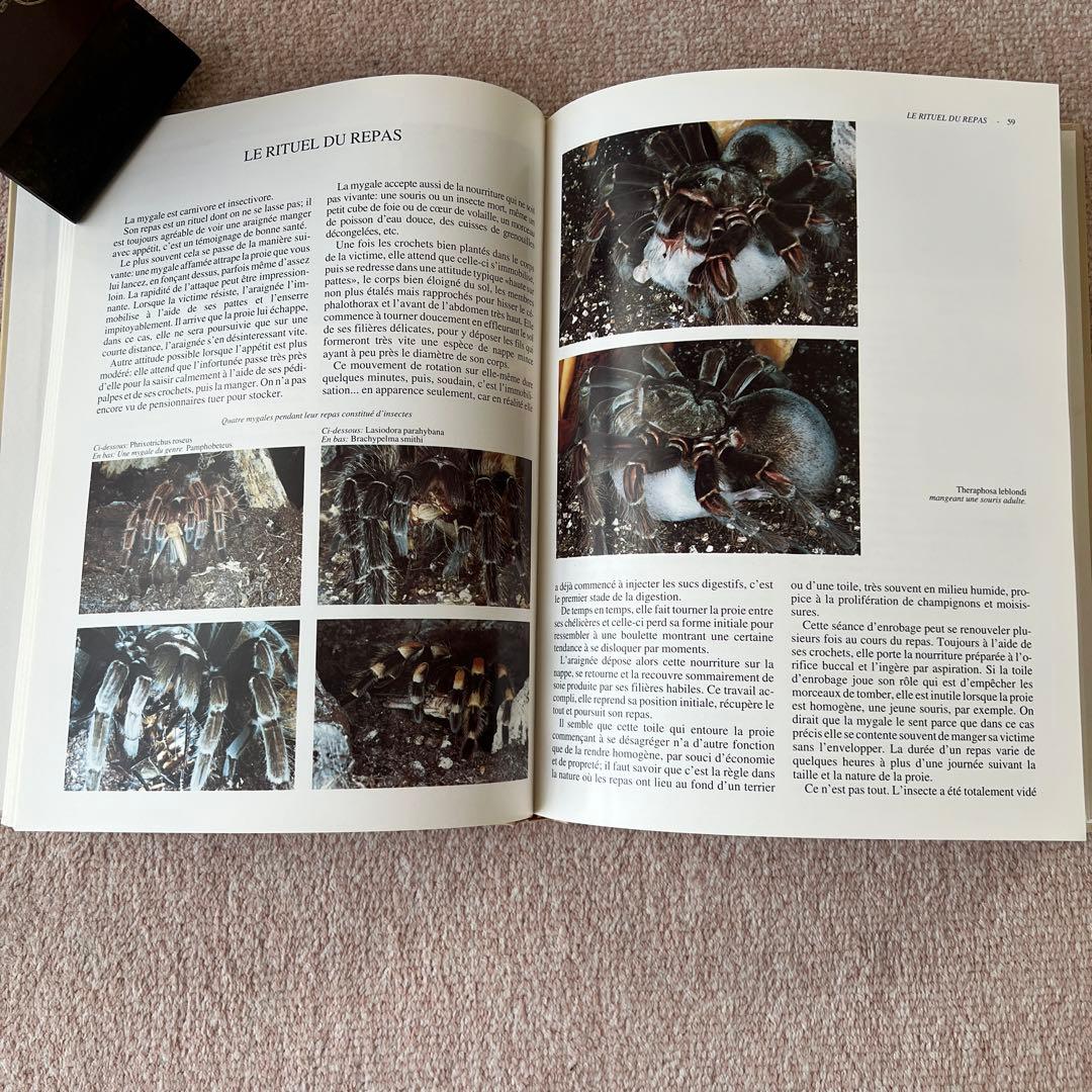 洋書　GUIDE DES MYGALES タランチュラなど