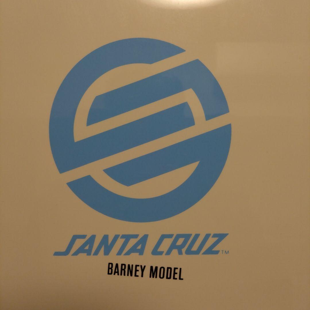 SANTA CRUZ BARNEY MODEL 6.1 サーフボード