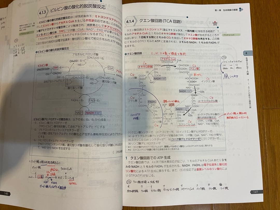 薬学ゼミ　第110回国家試験対策　青本青問9巻セット