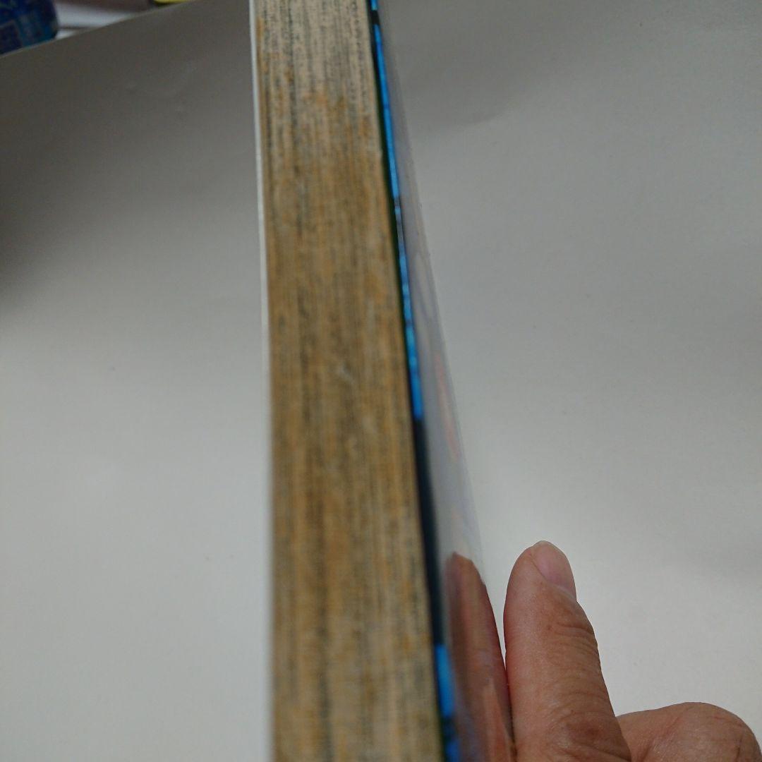 【最終値下げ】光 熱斗イラスト付、あさだみほ先生直筆サイン入りロックマン第1巻