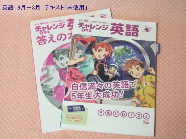 チャレンジ5年生　進研ゼミ　2025年4月～2026年2月　ベネッセ