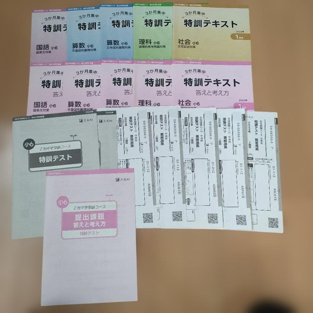 【〜1/14まで値下げ】【送料無料】Z会　中学受験　特訓テキスト 小６　未使用