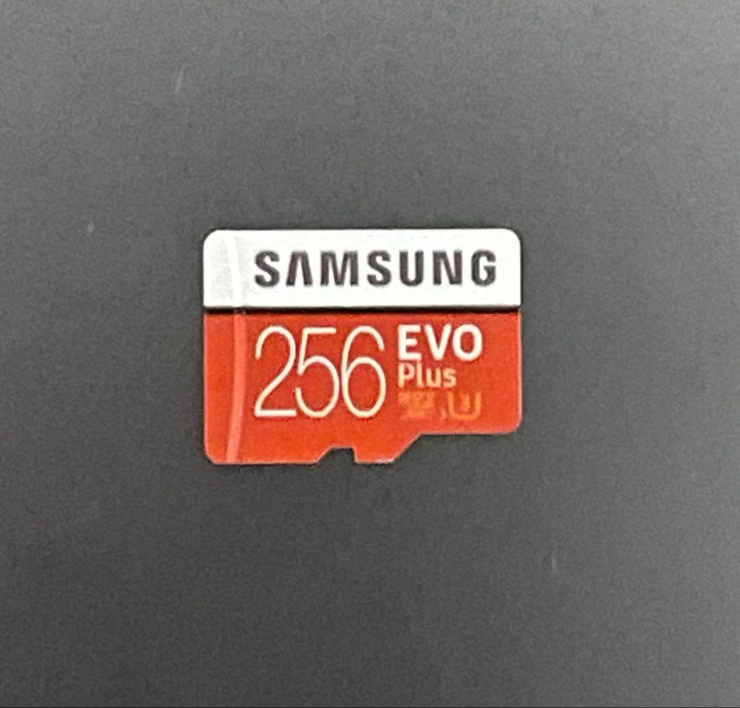 Nintendo Switch 本体セット + 256GB SD + ケース付き