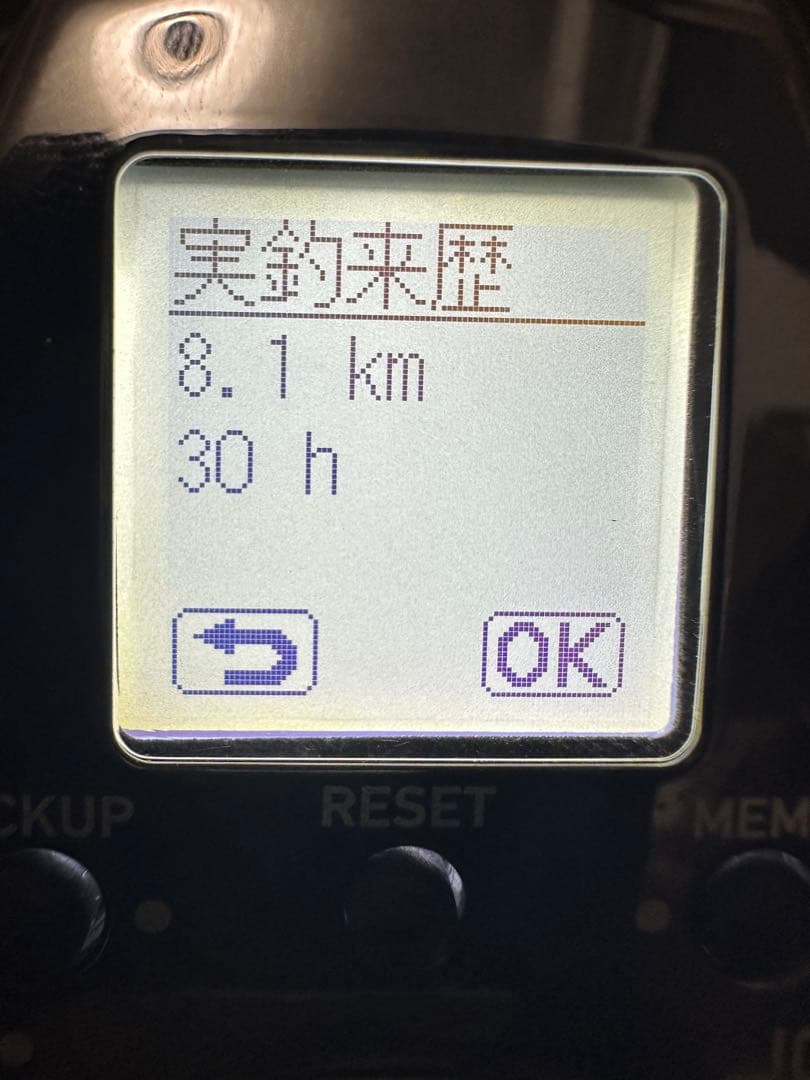 sea borg シーボーグ　21 G300J ダイワ　Daiwa