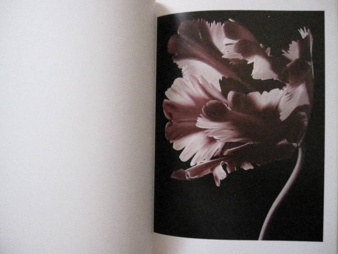 FLOWERS MARK VASSALLO　マーク・ヴァッサーロ