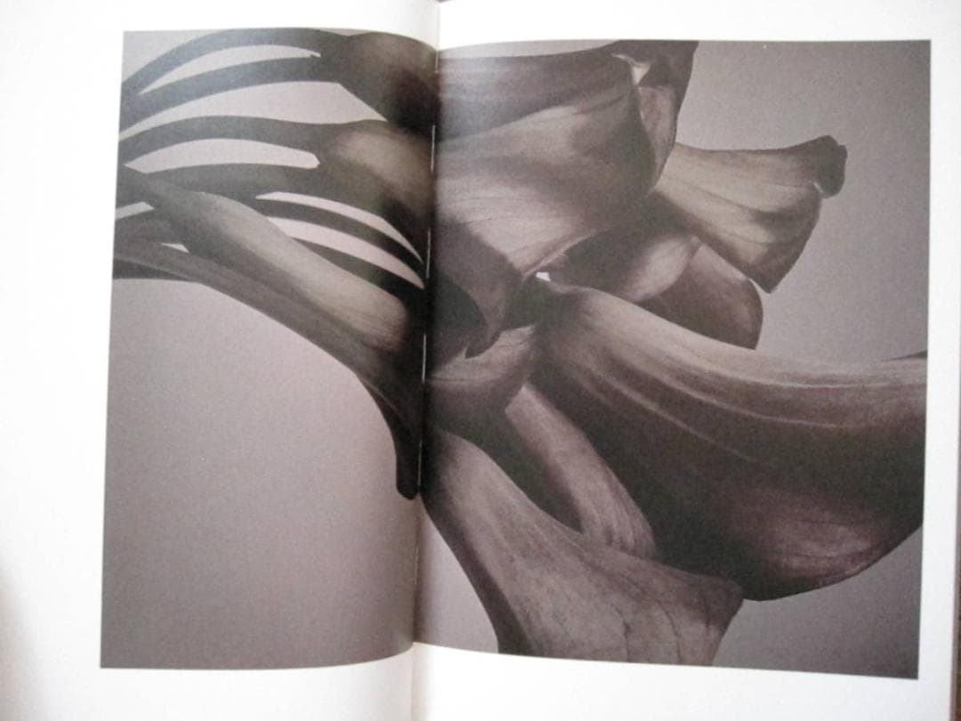 FLOWERS MARK VASSALLO　マーク・ヴァッサーロ