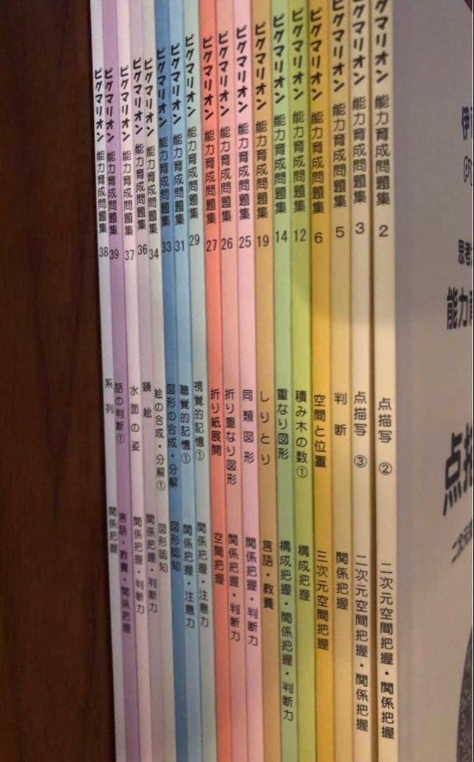 ピグマリオン 能力育成問題集 pygliシリーズ(全シリーズ40冊のデータ付き)