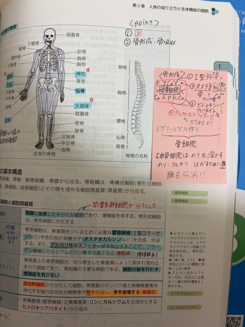 薬学ゼミナール青本青問　第111回薬剤師国家試験