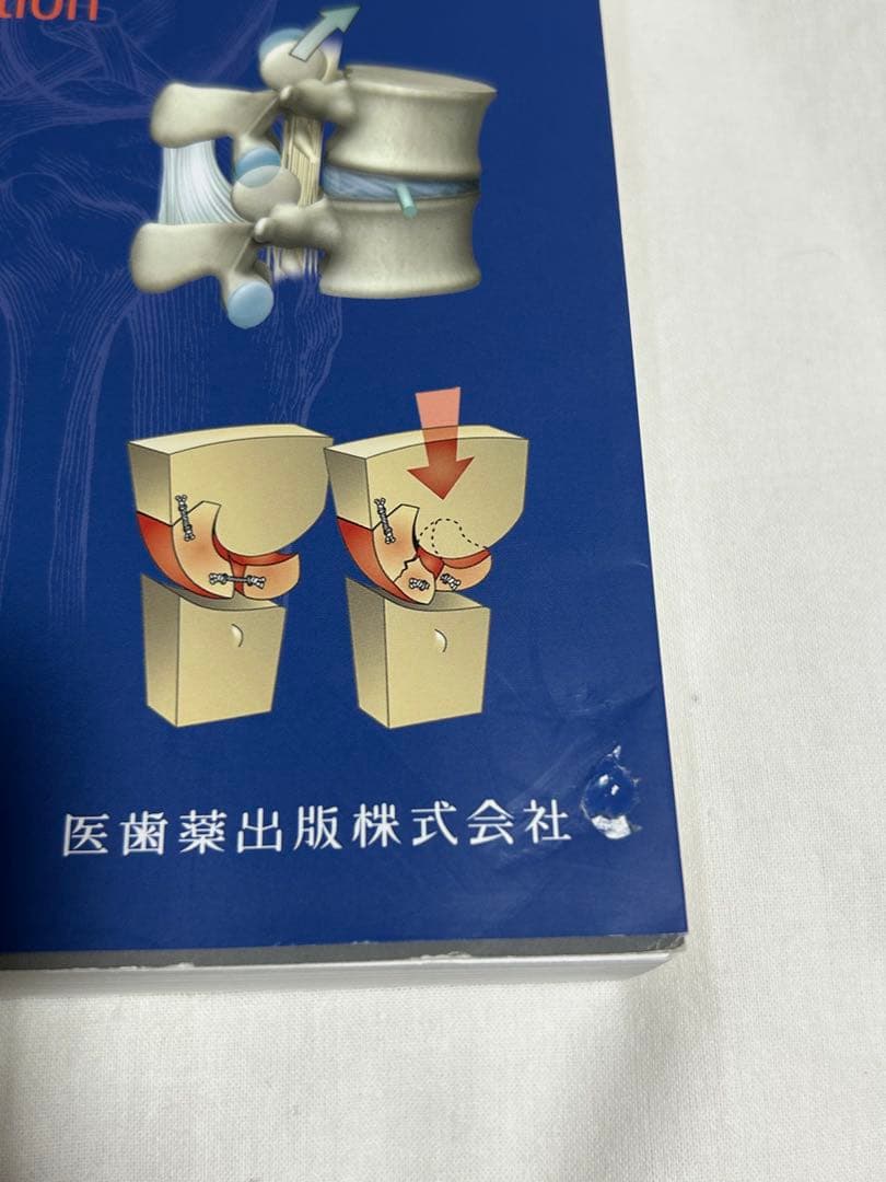 筋骨格系のキネシオロジー　カラー版