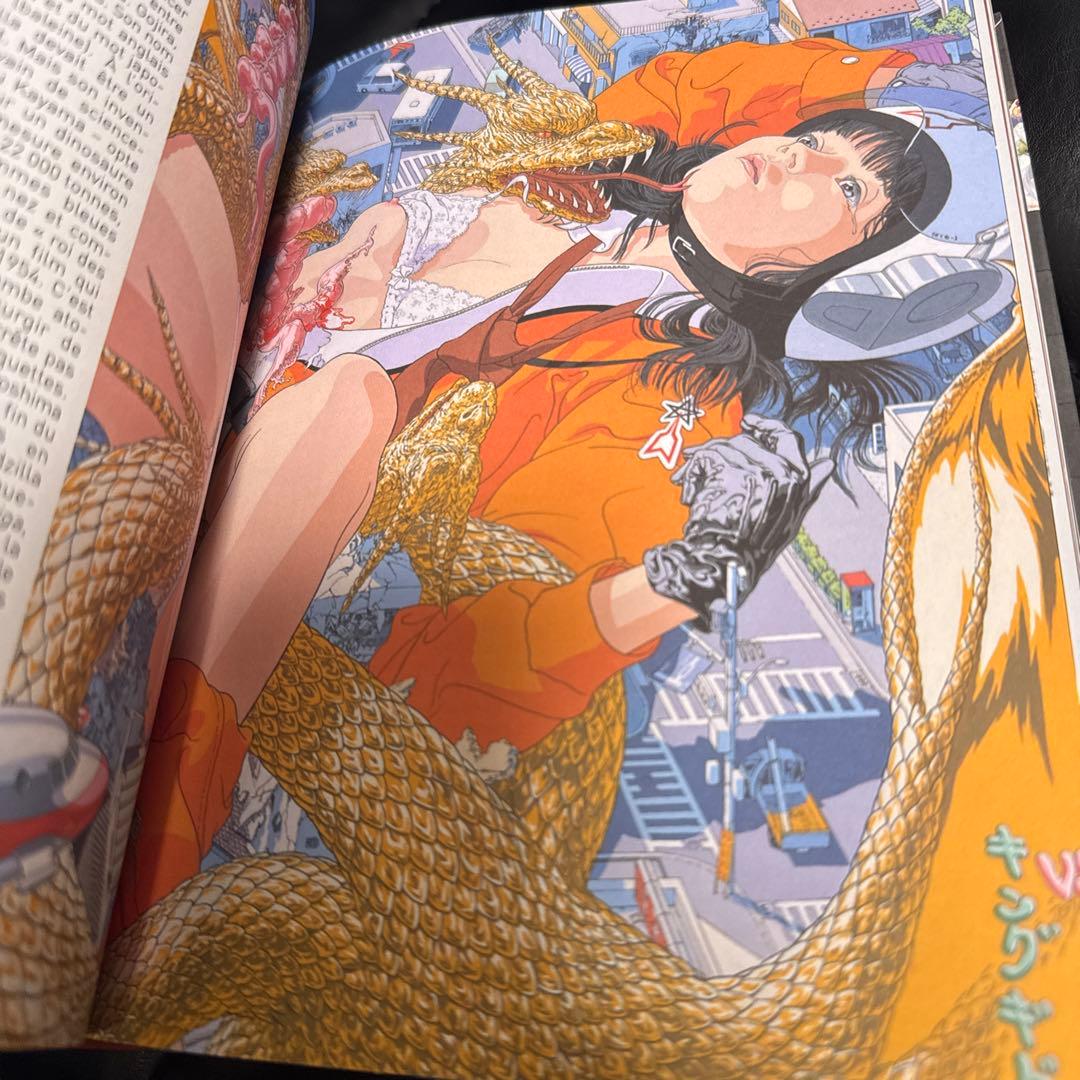 貴重⭐︎L'IMAGINAIRE EROTIQUE AU JAPON 洋書　辞典