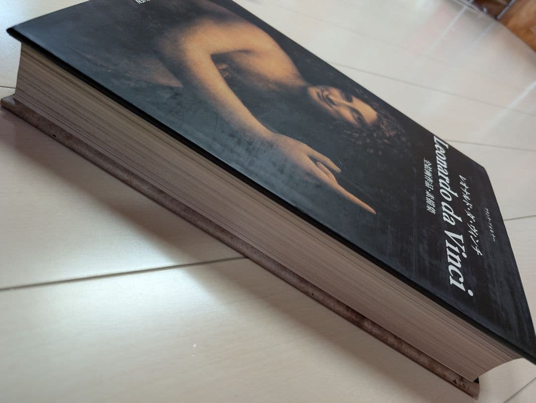 レオナルド・ダヴィンチ 全絵画作品・素描集　TASCHEN　da vinci