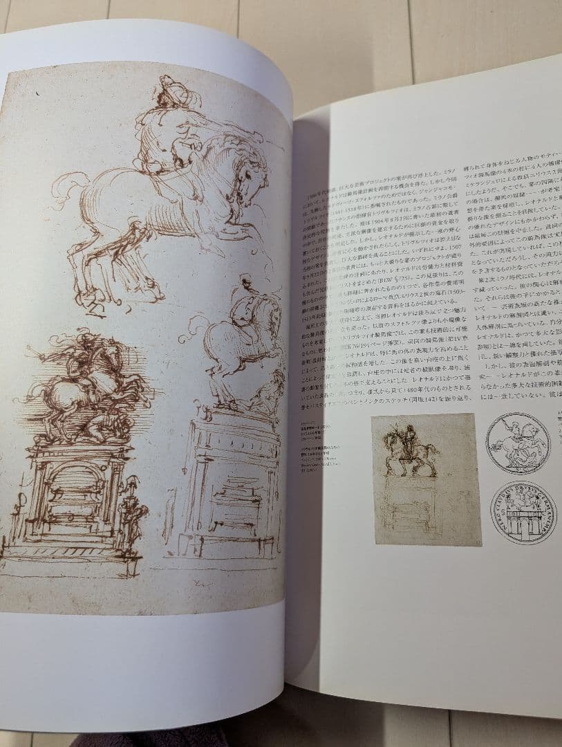 レオナルド・ダヴィンチ 全絵画作品・素描集　TASCHEN　da vinci