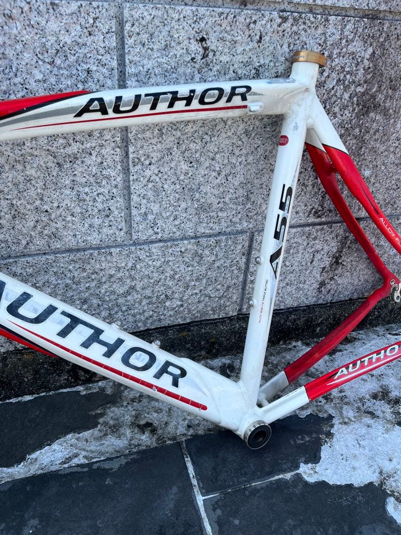 AUTHOR A55 サイズ480 フレーム