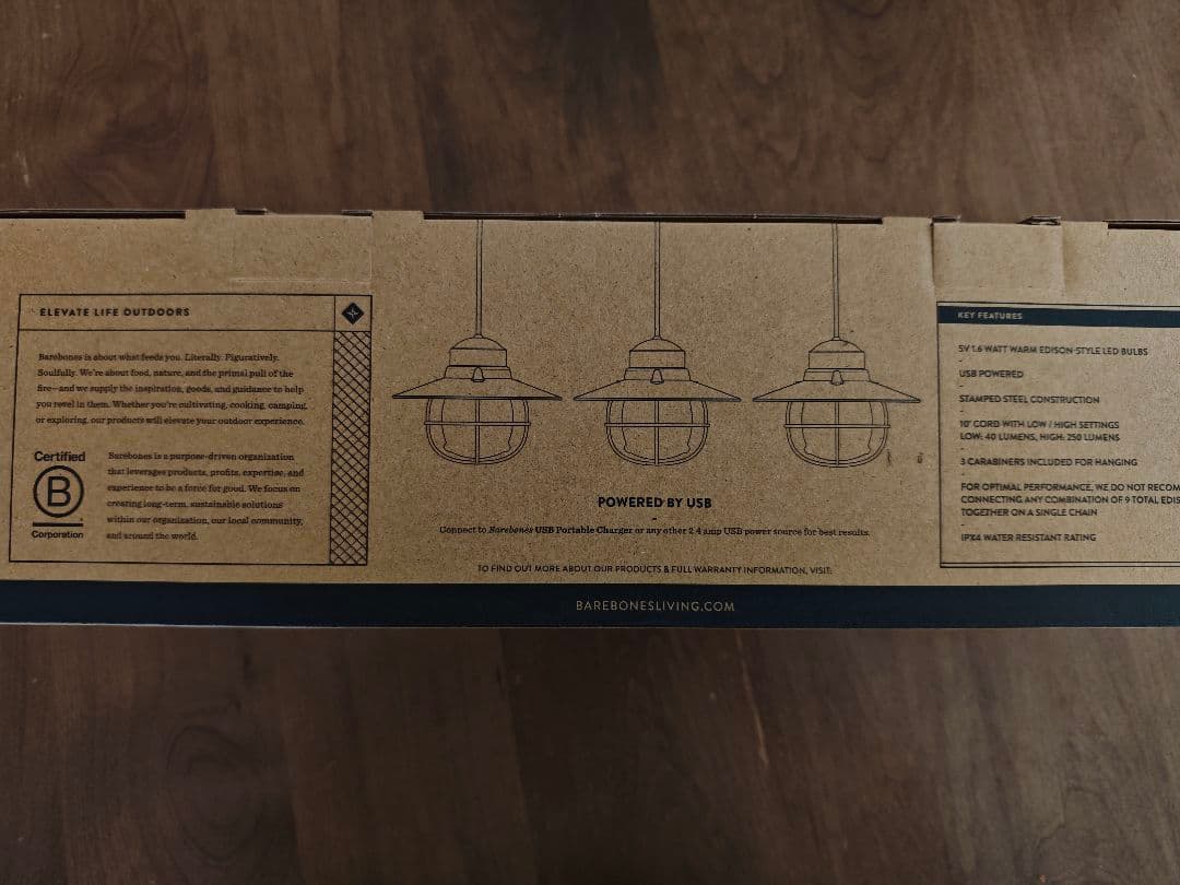 BAREBONES EDISON STRING LIGHTS マルチBLACK