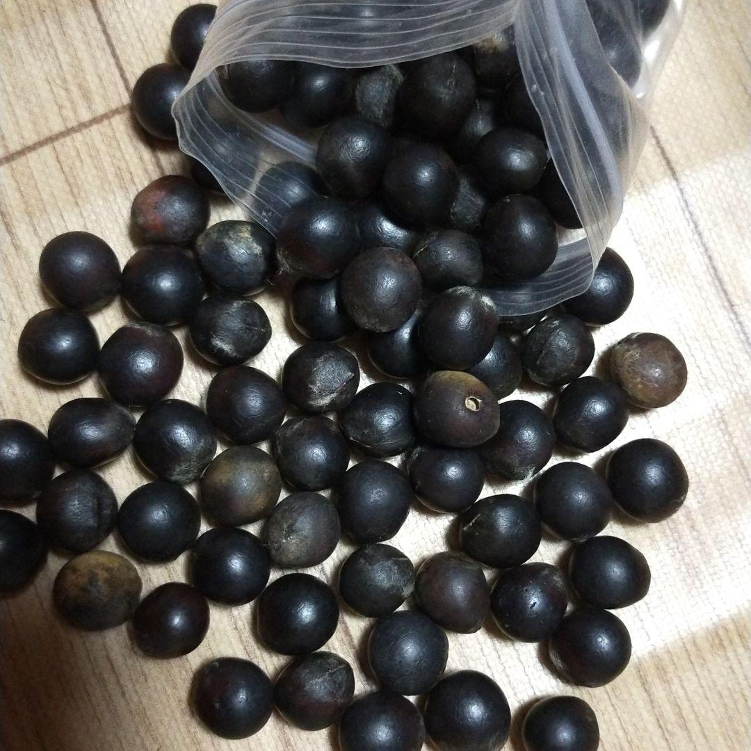 ムクロジの中身