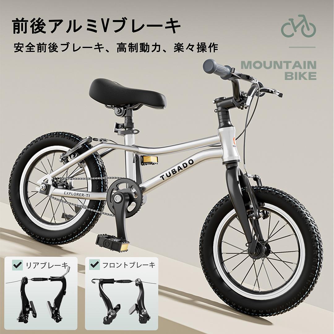 ACEXIS 子供自転車 16インチ 超軽量アルミ本体8.8kg Silver
