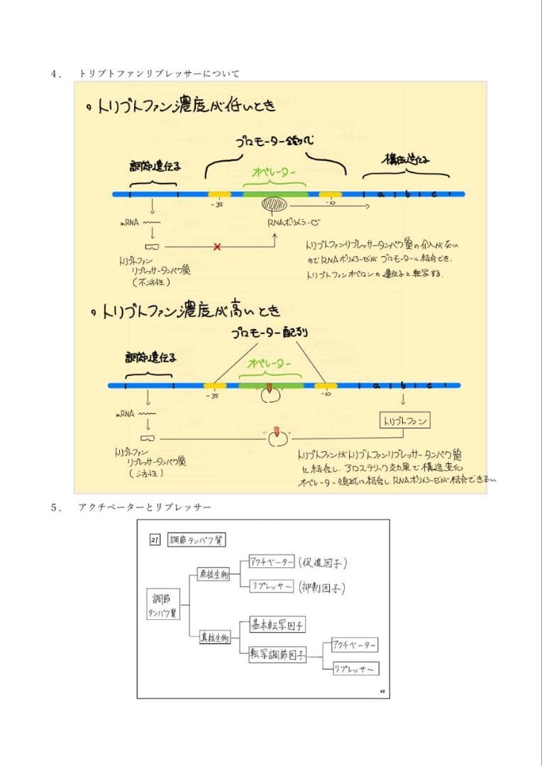エッセンシャル細胞生物学 自作問題集