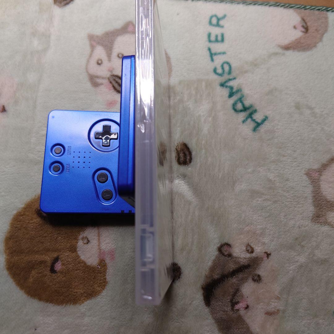 スレイ ザ スパイヤ Slay the Spire Switch 日本語版