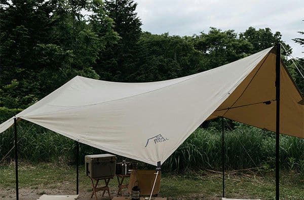 SABBATICAL MARIPOSA M TC　 Light Beige