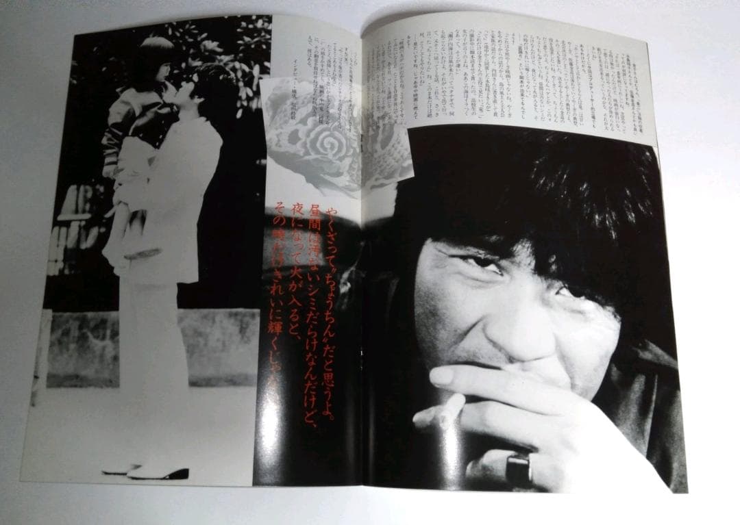 映画 竜二 パンフレット 金子正次