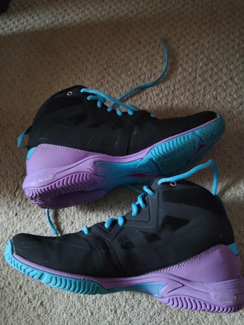 ミズノウエーブダイバース23.5