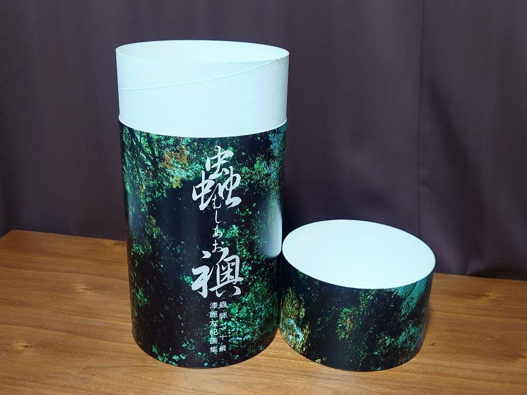 蟲師 二十景 漆原友紀 画集 蟲襖 講談社 完全受注生産