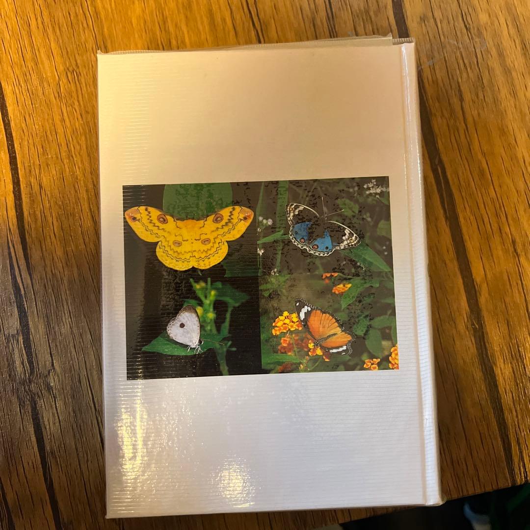 沖縄昆虫野外観察図鑑 5.6.7