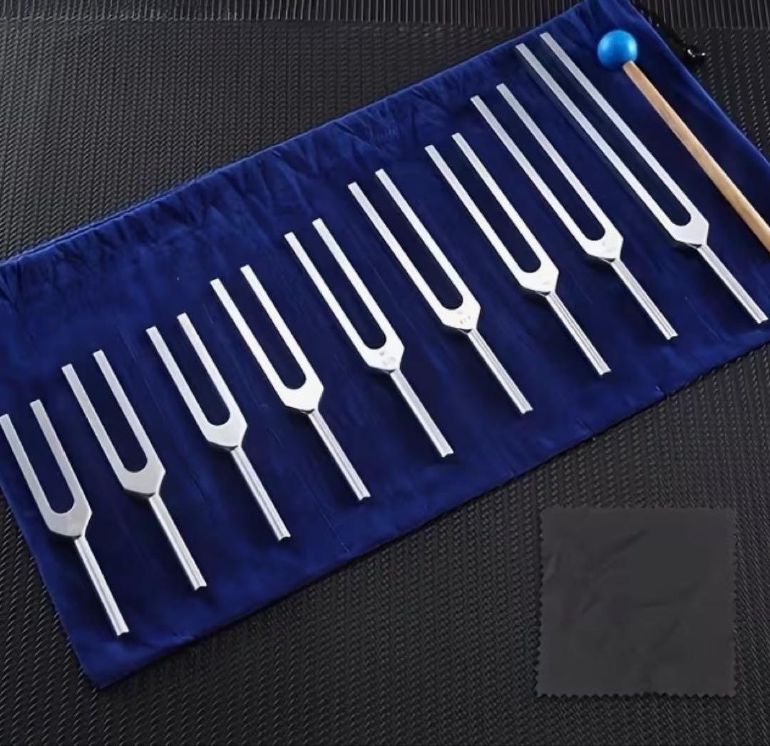 音叉セット10点　シルバーチューニングフォークと マレット　ポーチ付　音楽療法用