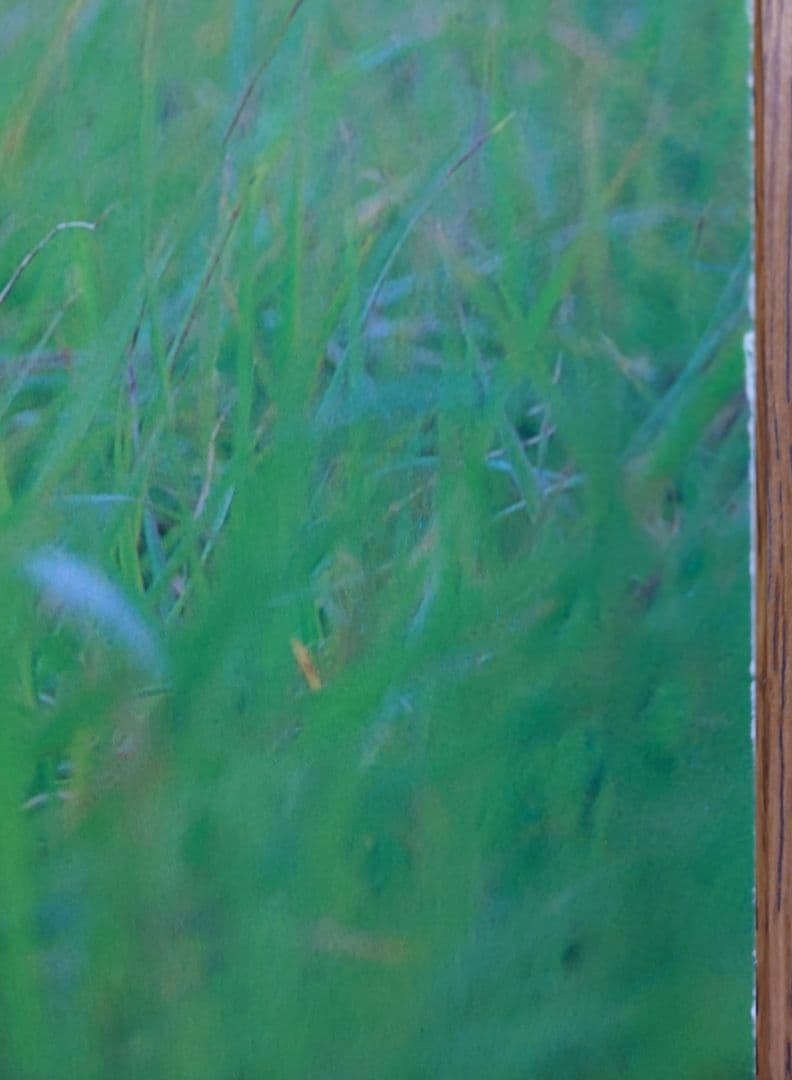 PS プレイステーション スクウェア『サガフロンティア2』ポスター