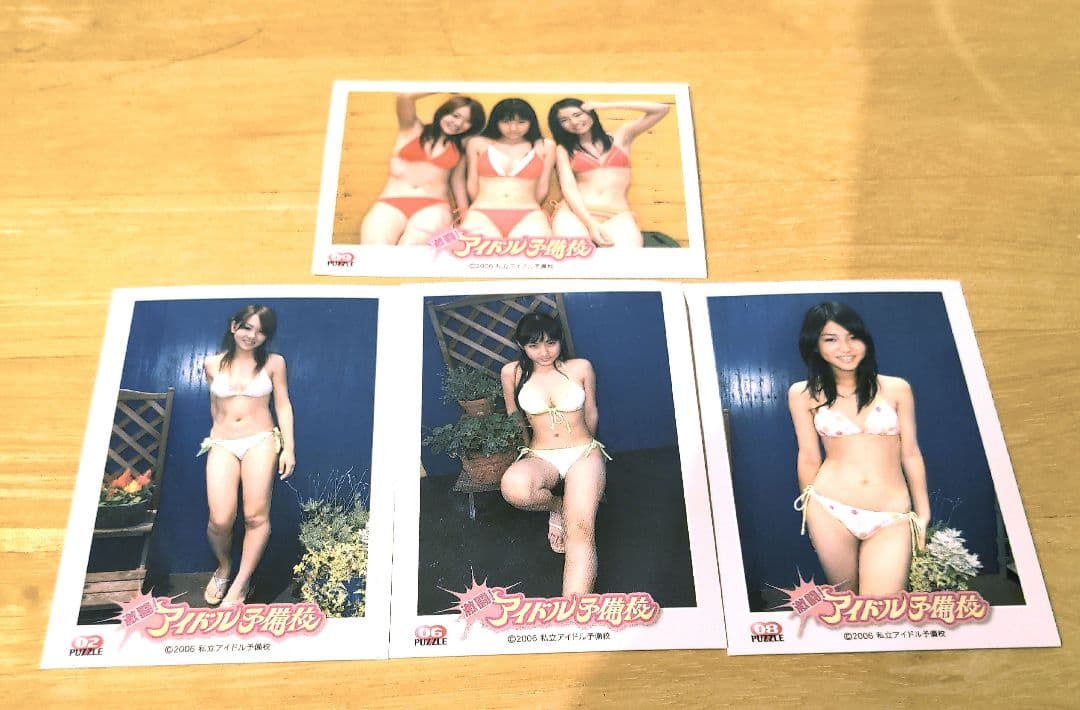 激闘！アイドル予備校　紗綾·留奈·梨央CHASER DVD