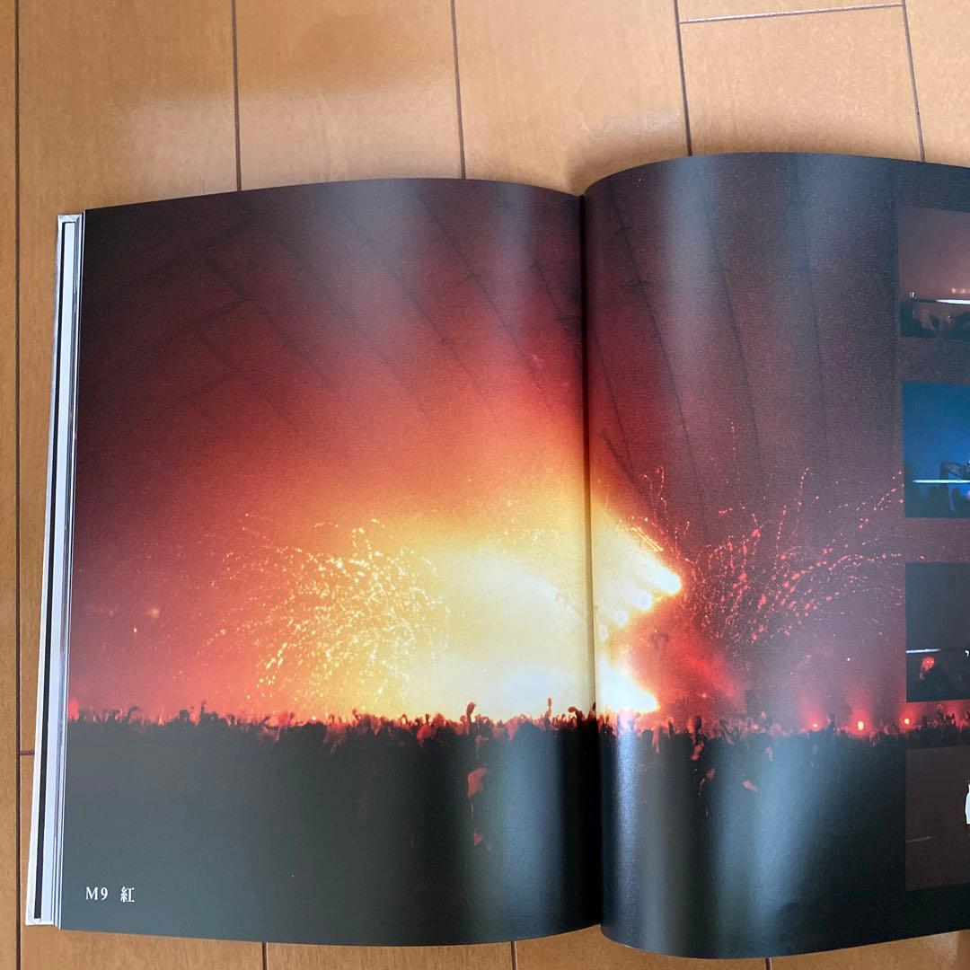 【金粉少女】xjapan The Last Live 写真集