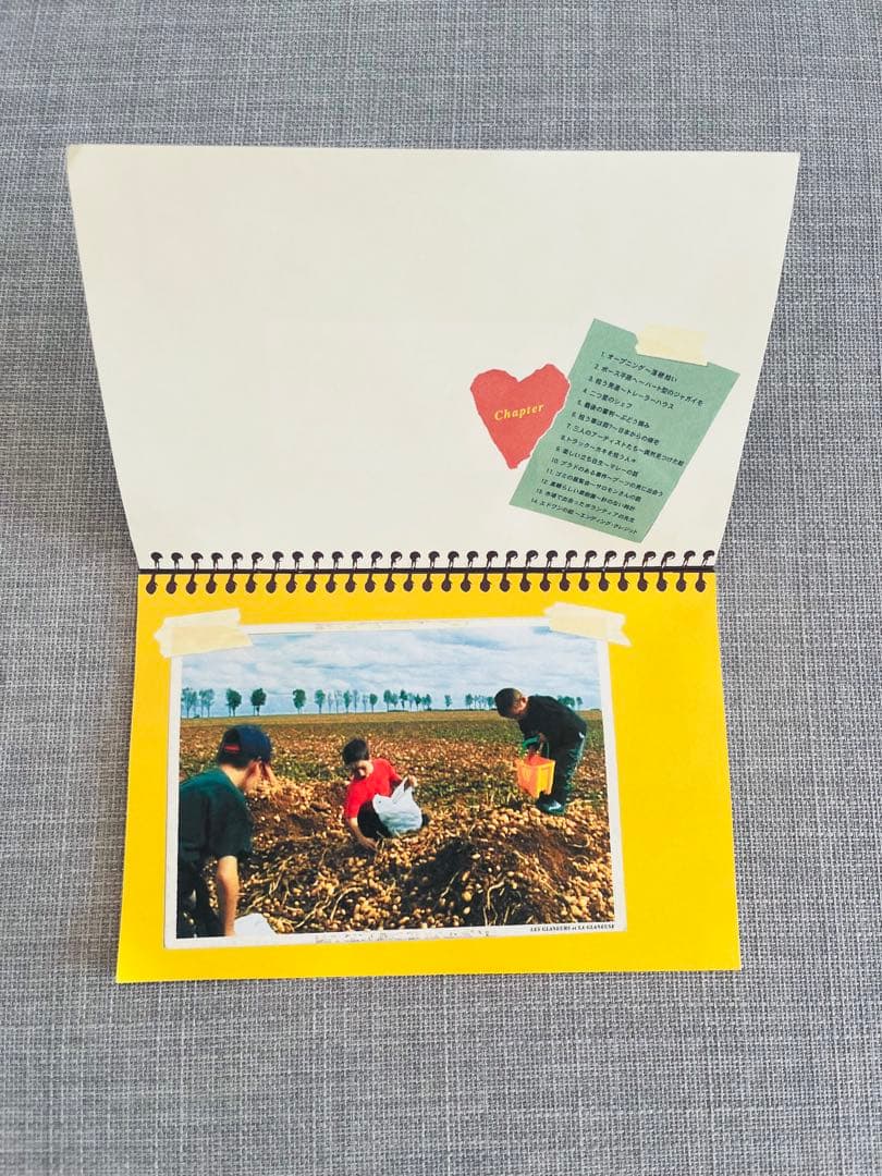 k*照様 【廃盤・希少】DVD アニエス・ヴァルダ「落穂拾い」