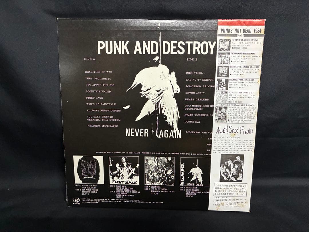 国内盤 帯付 DISCHARGE PUNN AND DESTROY LPレコード