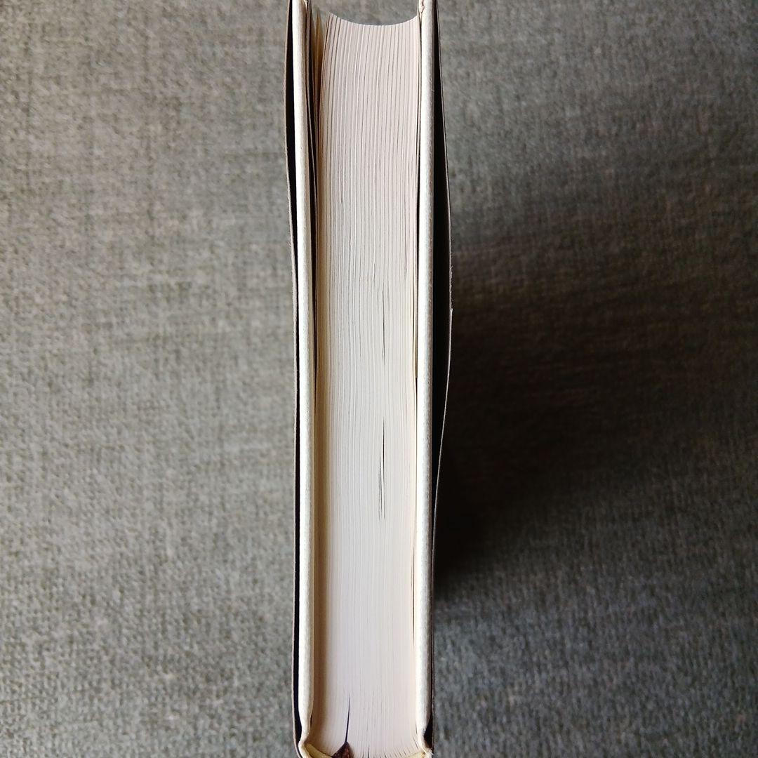 ハイデッガー全集 １７巻　現象学的研究の入門　創文社