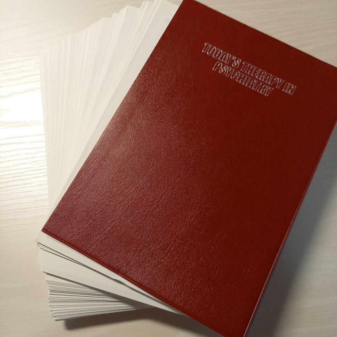 【裁断済】今日の精神疾患治療指針 第2版