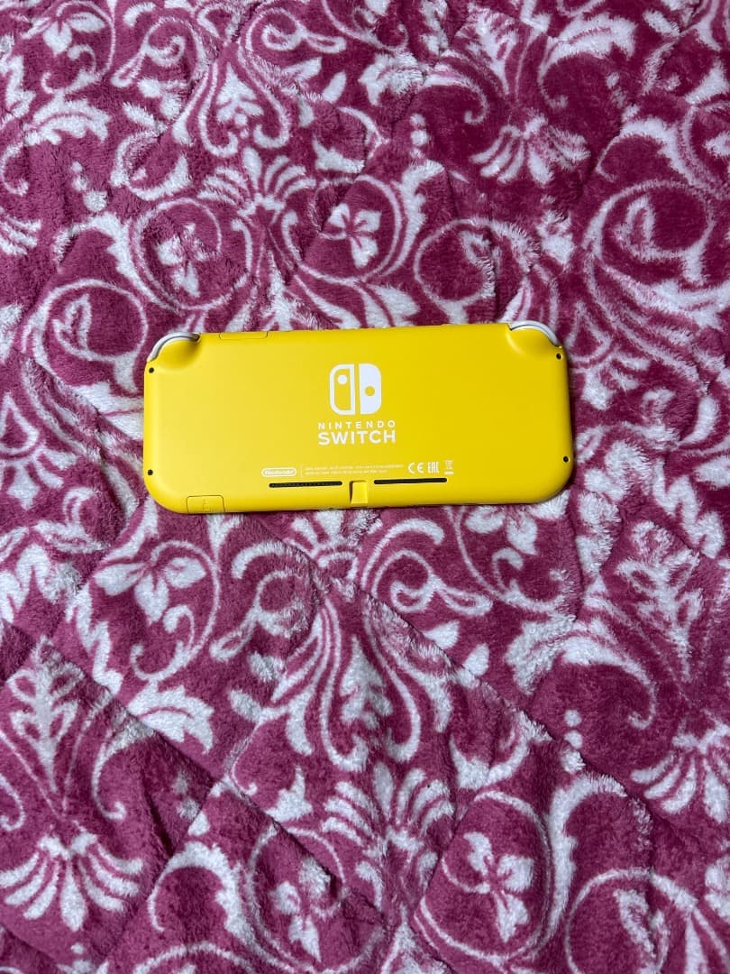 Nintendo Switch Lite イエロー 本体とソフト付き
