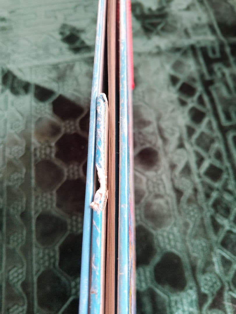 大人気Dr Seuss自立式フリップ学習