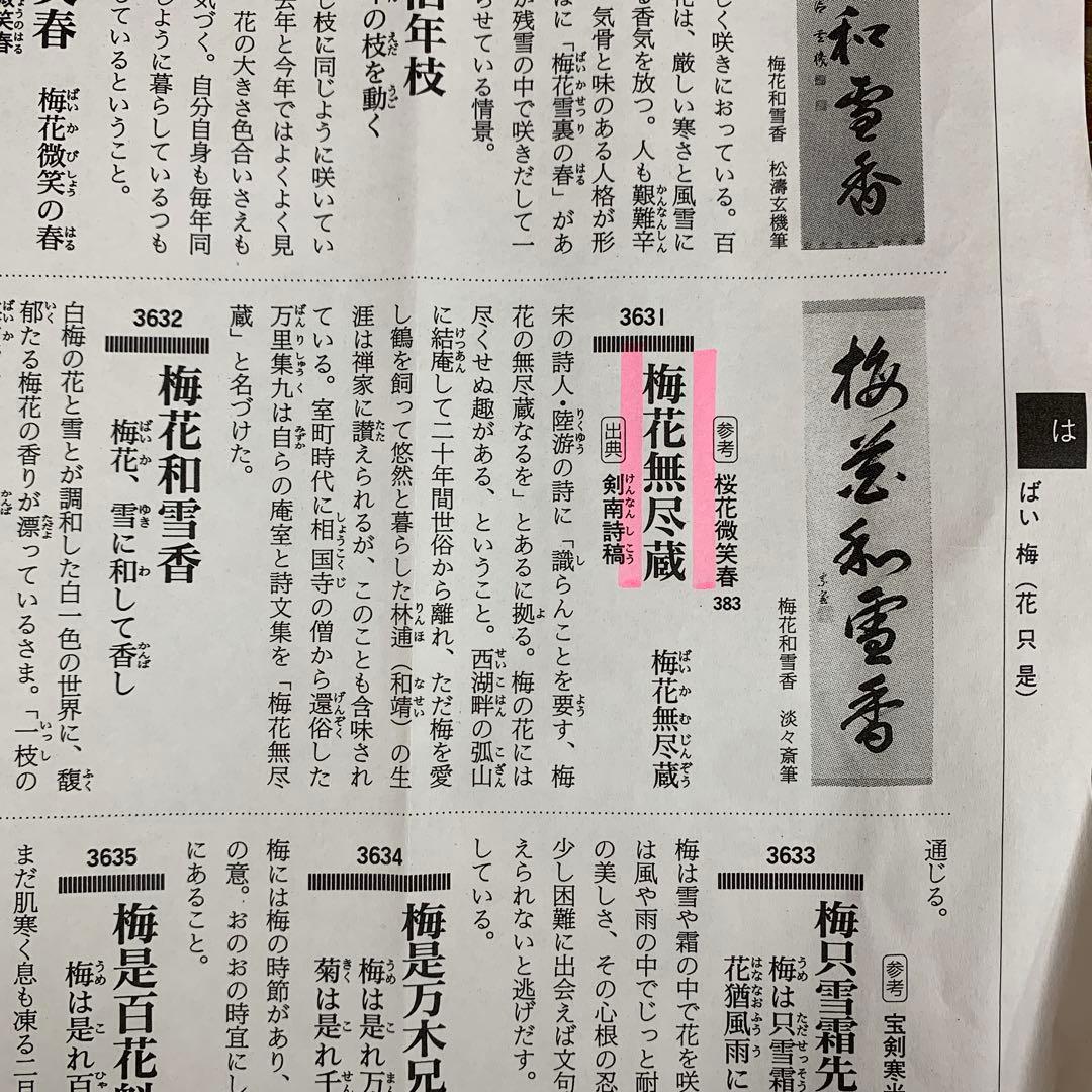 美品 掛け軸 清水寺 森清範作「桜花 無尽蔵」共箱 太巻き 禅語