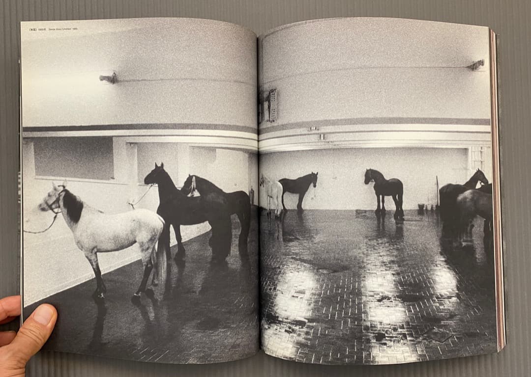 「アルテ・ポーヴェラ　貧しい芸術」展カタログ、豊田市美術館、2005年