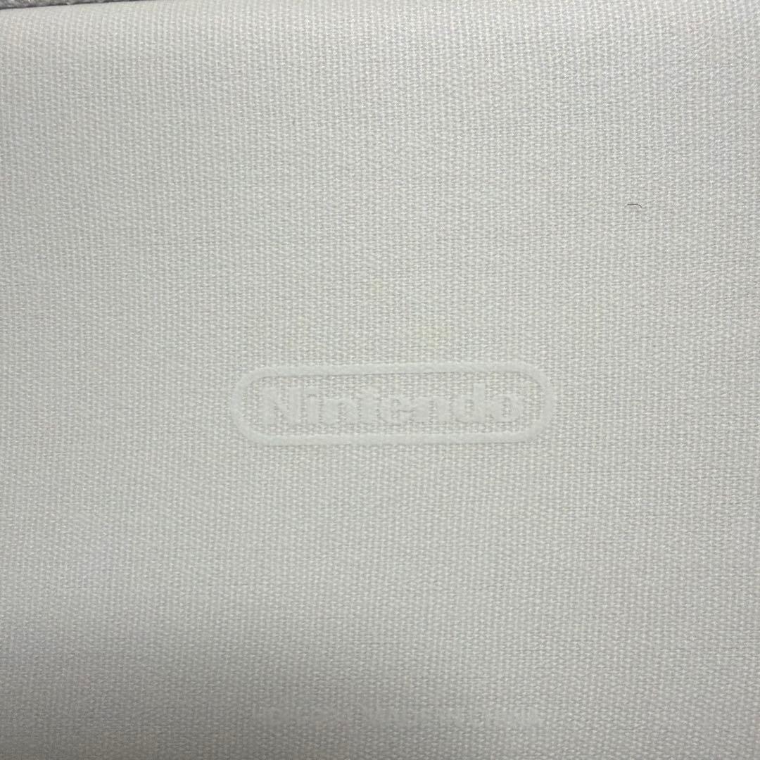 Nintendo Switch Lite 青　保護シート、ケース付き