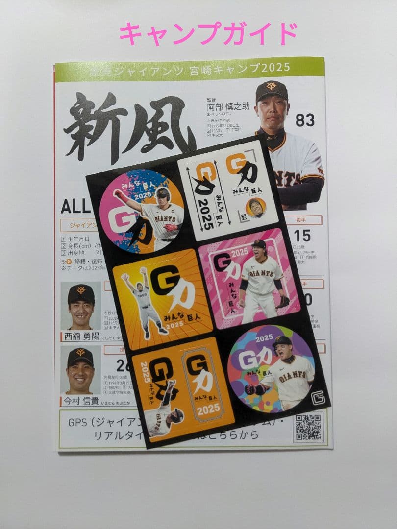 ジャイアンツ　戸郷翔征　サイン　色紙　宮崎キャンプガイド　巨人　シール　20番