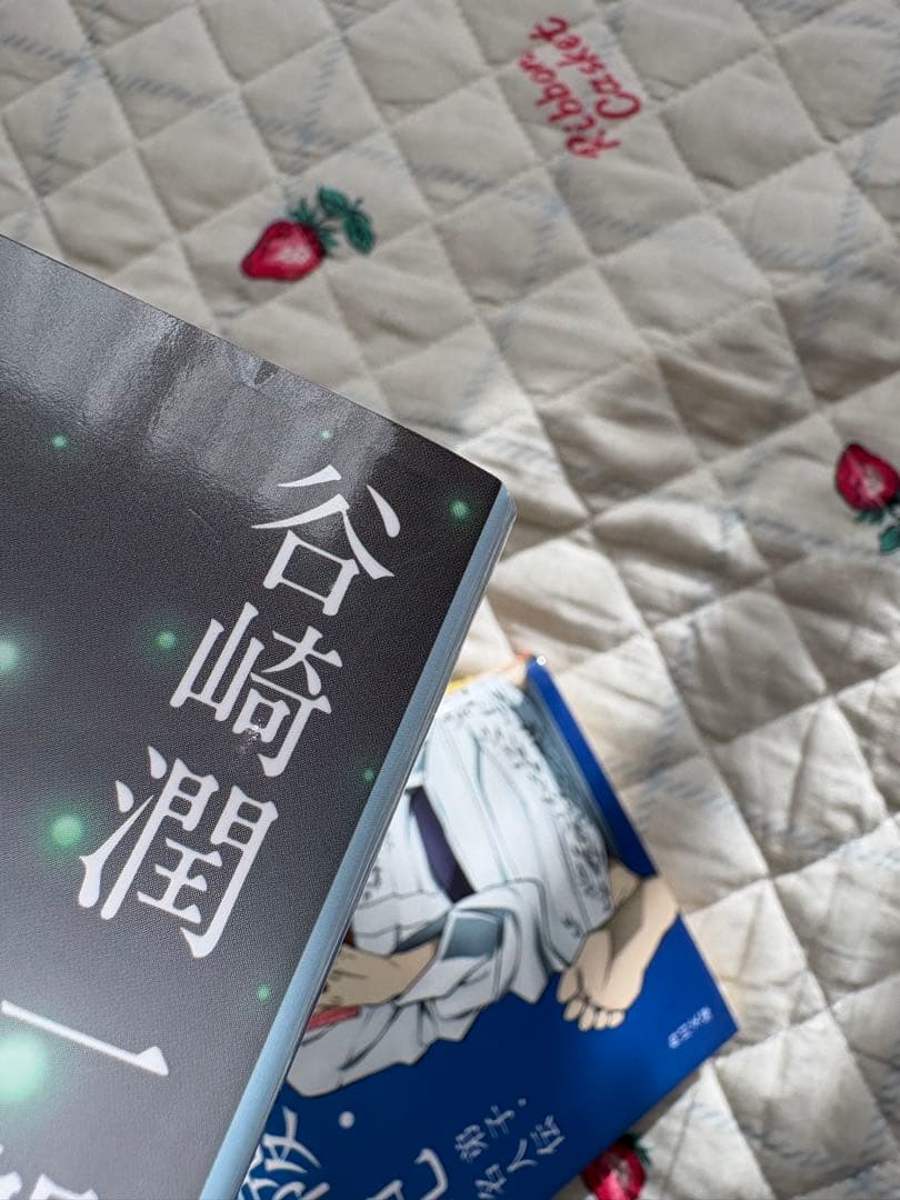 角川文庫 文豪ストレイドッグス コラボカバー 20冊 文スト