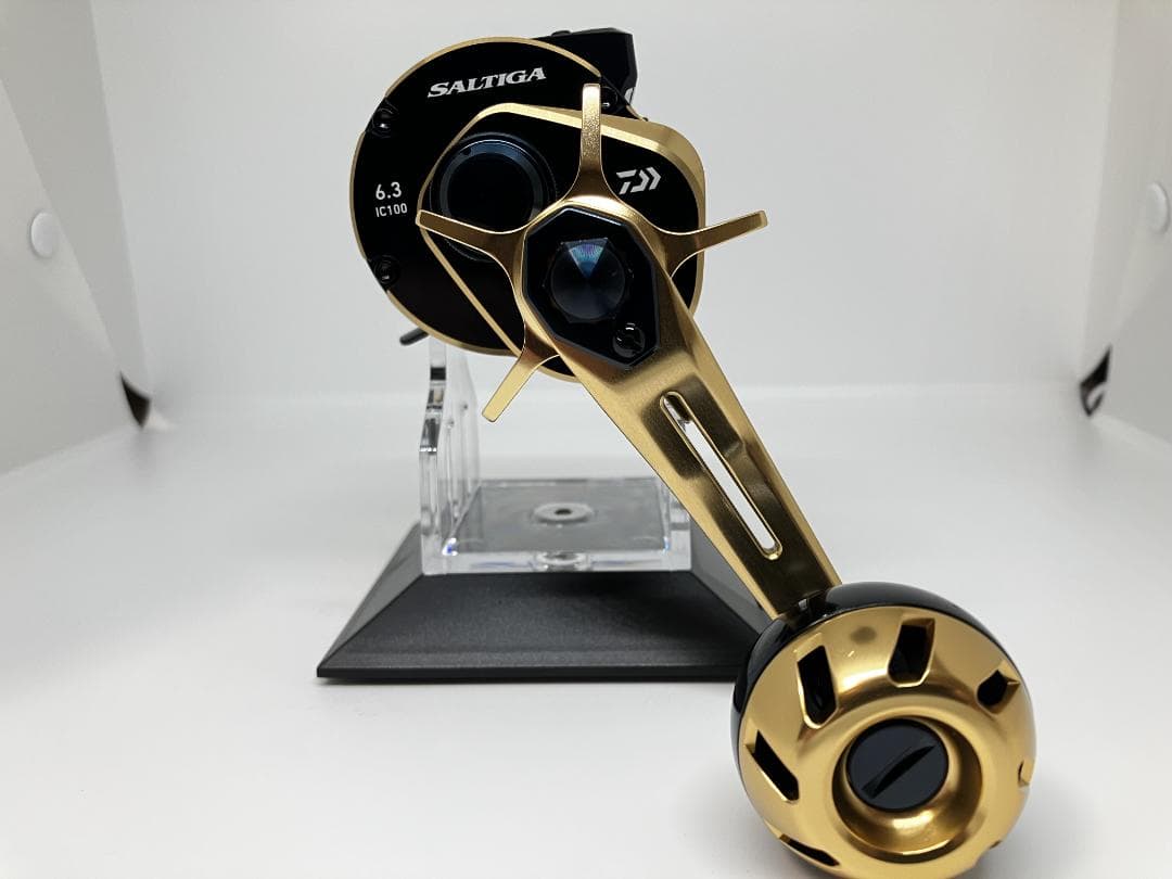 21 SALTIGA ソルティガ IC 100